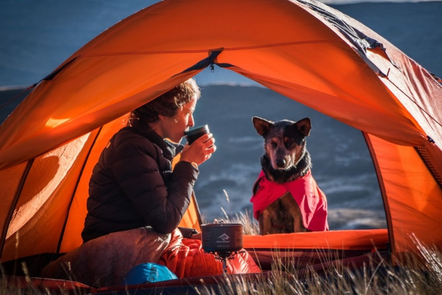 Lucy Barnard in a tent camping with her dog while holding up a warm drink to her mouth
